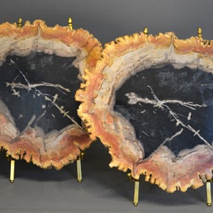 Pair of fossilized slabs: decor, lamps or tables?